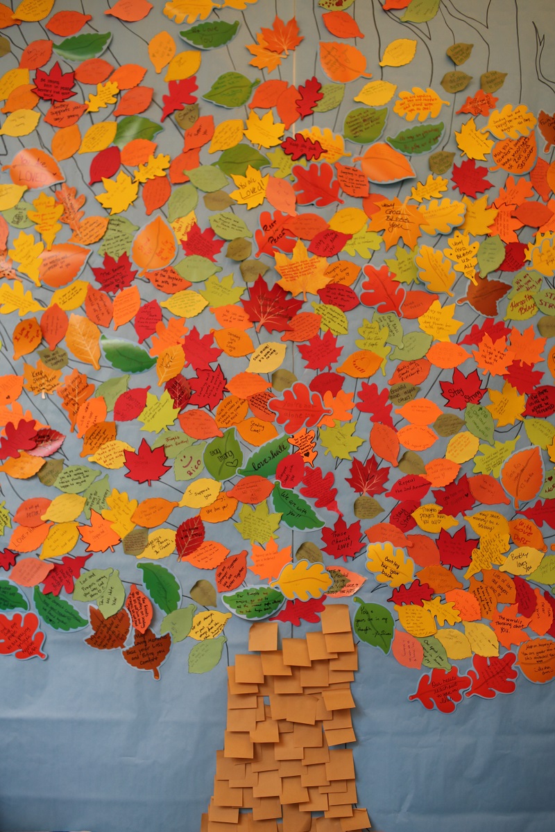 A Tree Of Hope Blooms